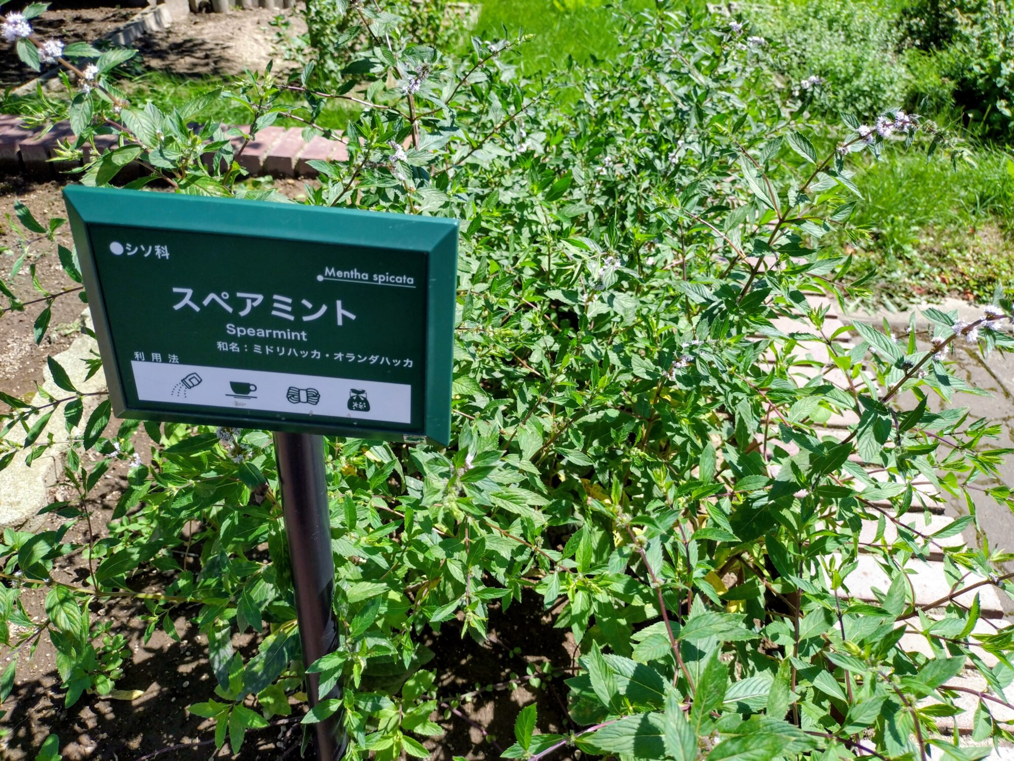 北見市ハッカ記念館