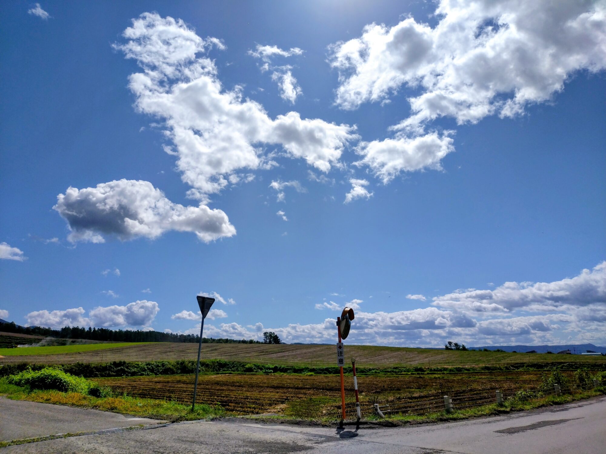 富良野
