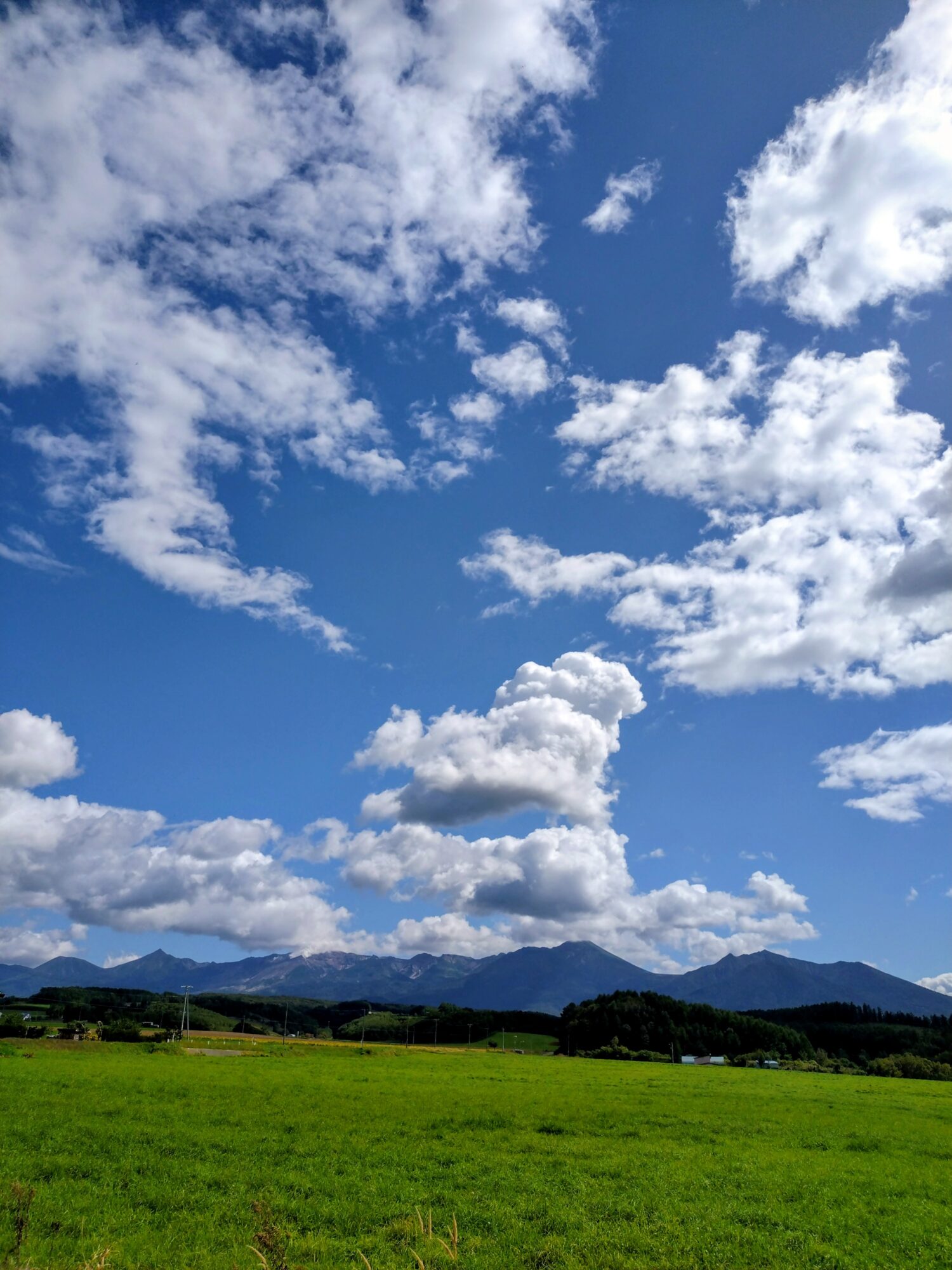 富良野