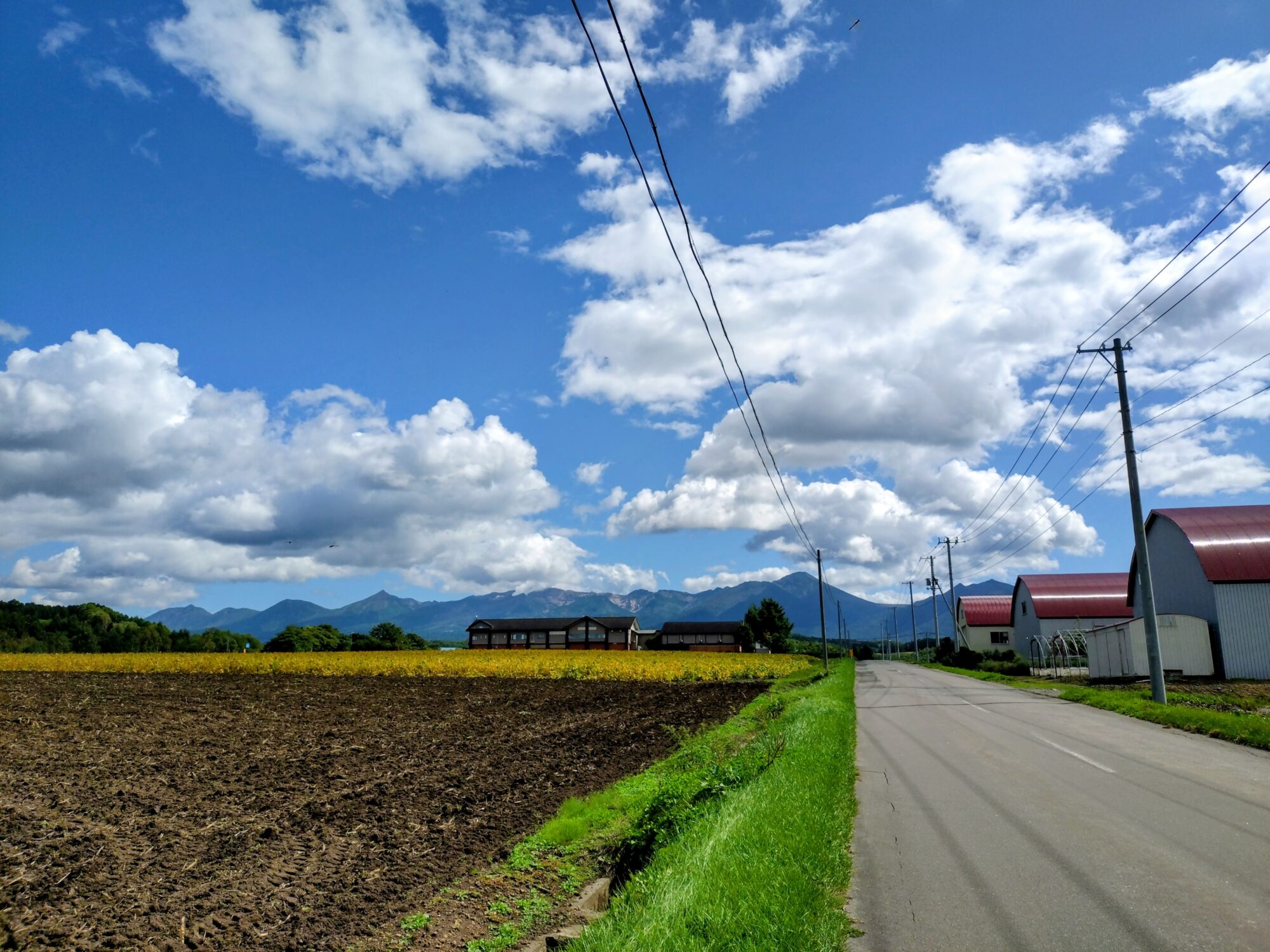 富良野