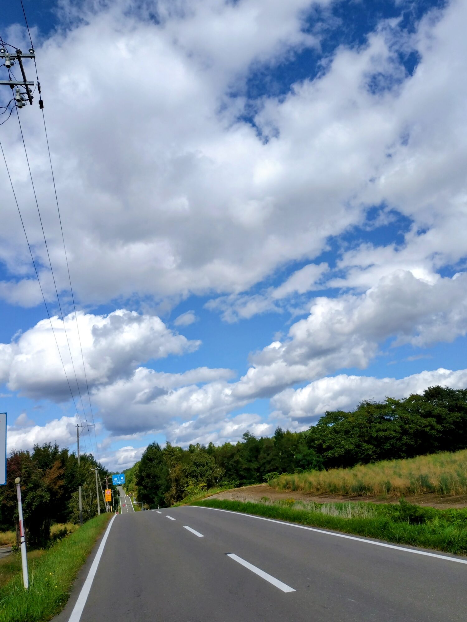 富良野