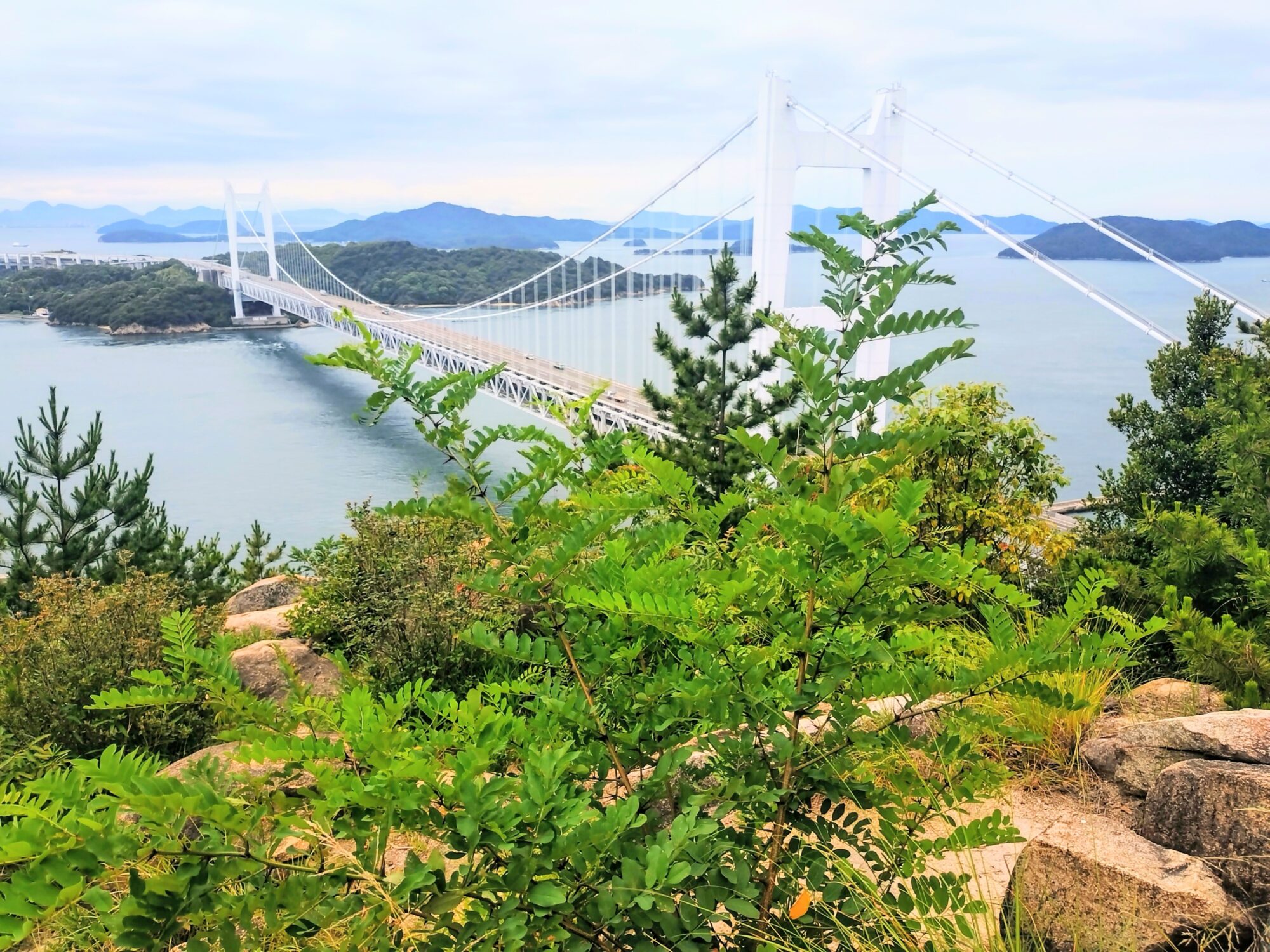 鷲羽山